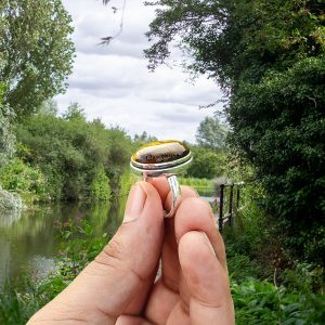 Tiger Eye Ring