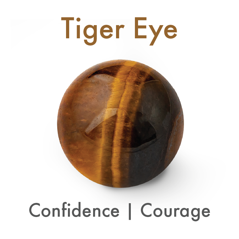 Ferns Meaning In Bengali Price