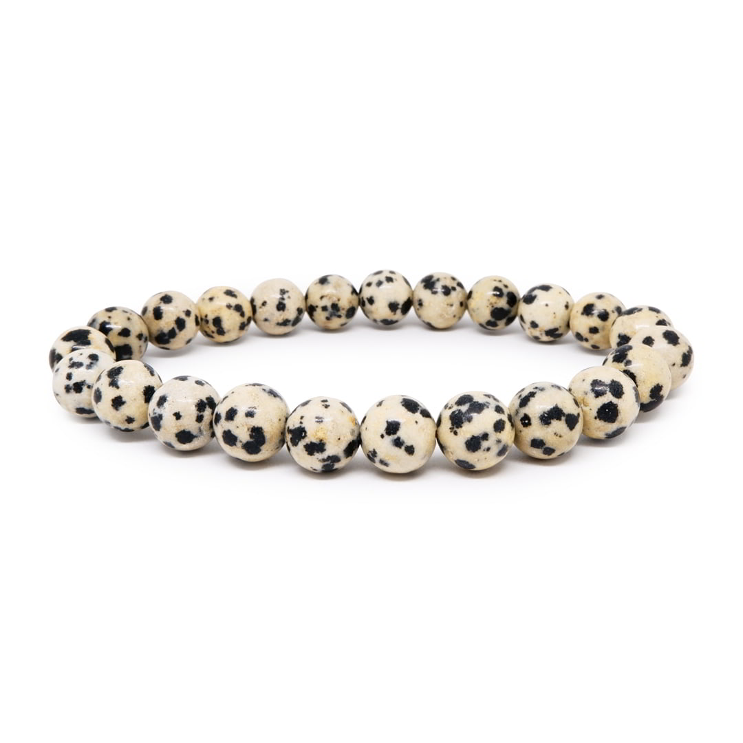 Dalmatian Jasper Bracelet Natural Crystal Healing Bracelet Gemstone  Jewellery Beaded Stone Bracelet For Men & Women, Bead Size 6 Mm at Rs  449.00 | जेमस्टोन का ब्रेसलेट, जेमस्टोन ब्रेसलेट, रत्न का ब्रेसलेट -