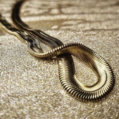 Snake chain for Men/Women Made with 22k Gold Plated Italian Stainless Steel  6 MM